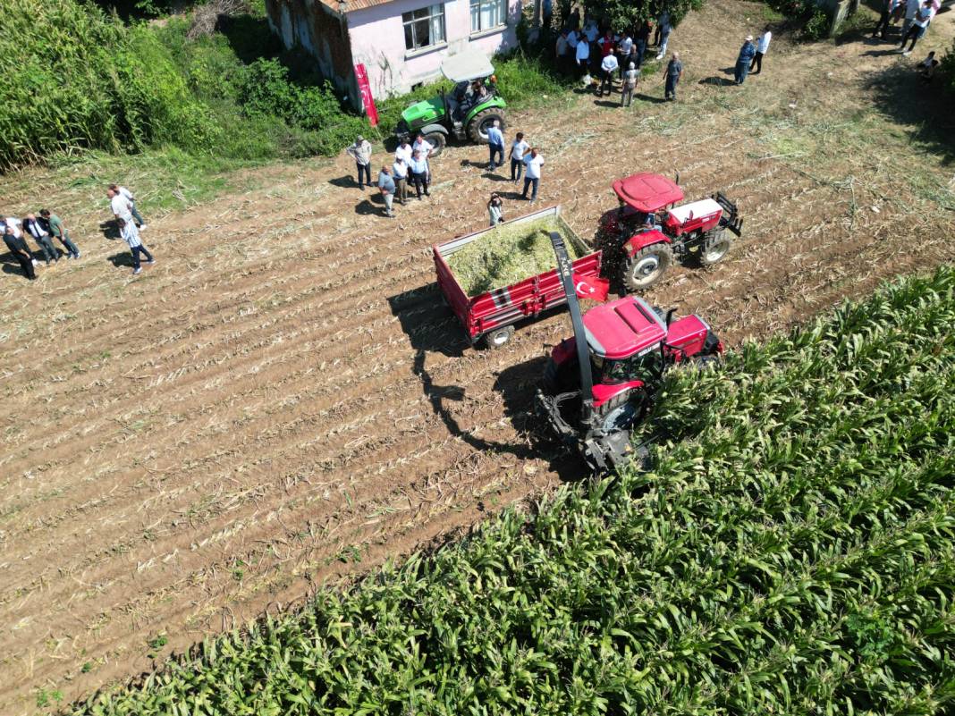 Karadeniz'in en önemli ovasında hasat yoğun başladı: Yüzde 90 arttı 5